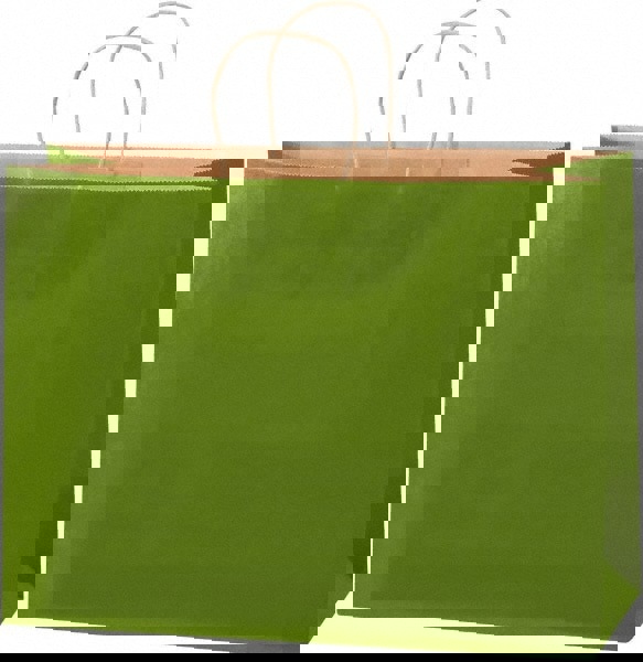 Pack of (250) Kraft Grocery Bags